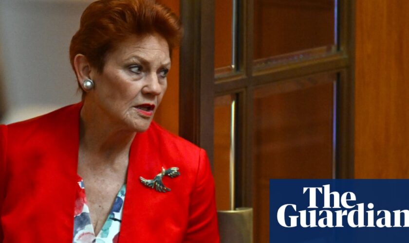 Pauline Hanson appeals court ruling she racially vilified Mehreen Faruqi