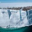 'Photos that capture the wonders of our world': National Geographic reveals the best pictures its photographers took in 2024, from a rare tiger to a penguin leaping off a cliff