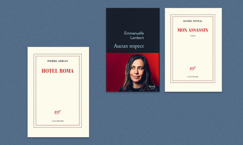 Pierre Adrian, Daniel Pennac, Emmanuelle Lambert… Notre sélection livres de la semaine