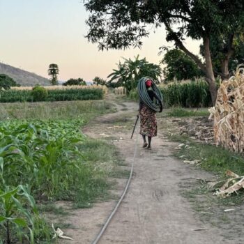 "Plus rien ne pousse" : au Malawi : manger, un combat quotidien dû au dérèglement climatique