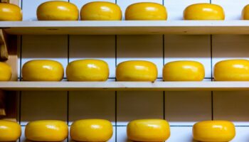 Pourquoi le fromage de luxe est-il devenu la cible d'un trafic organisé florissant?