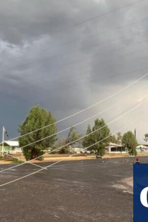 Power cut and cars smashed in NSW as ‘nightmare’ storms ravage east coast