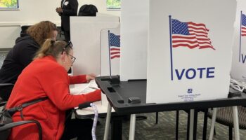 Présidentielle américaine : dans le Michigan, le vote des femmes au cœur d'un scrutin historique