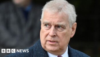 Prince Andrew's funding cut off by King, says book