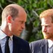 Prince Harry lands top honour for his work but Prince William is brutally snubbed