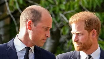 Prince Harry lands top honour for his work but Prince William is brutally snubbed