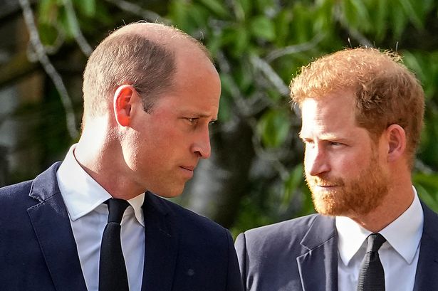 Prince Harry lands top honour for his work but Prince William is brutally snubbed