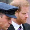 Prince William's emotional memory with Harry as he mentions brother for first time in years