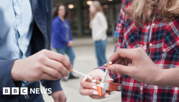 Pub garden smoking ban no longer in government plans