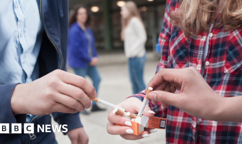 Pub garden smoking ban no longer in government plans