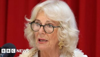 Queen Camilla warns of 'terrifying' domestic violence