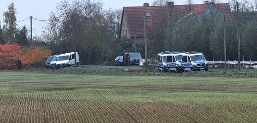 Razzia gegen mutmaßliche Neonazi-Terrorgruppe – AfD-Politiker festgenommen