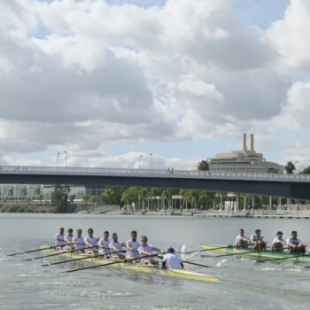 Regata Sevilla - Betis 2024: horario, dónde ver y recorrido de la competición de remo