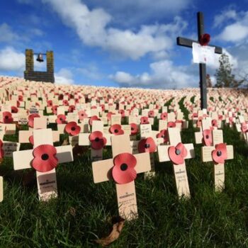 Remembrance Day: Use our interactive search tool to look up wargraves of fallen heroes