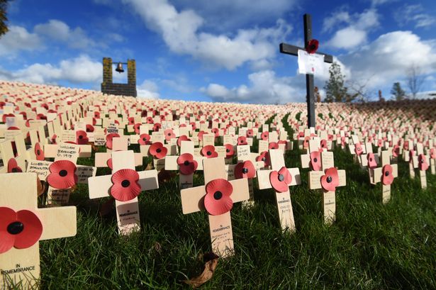 Remembrance Day: Use our interactive search tool to look up wargraves of fallen heroes