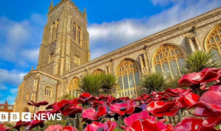 Remembrance: Why do we wear poppies?