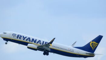 Rowdy Ryanair passengers flying on holiday arrested after 'urinating in plane aisle'