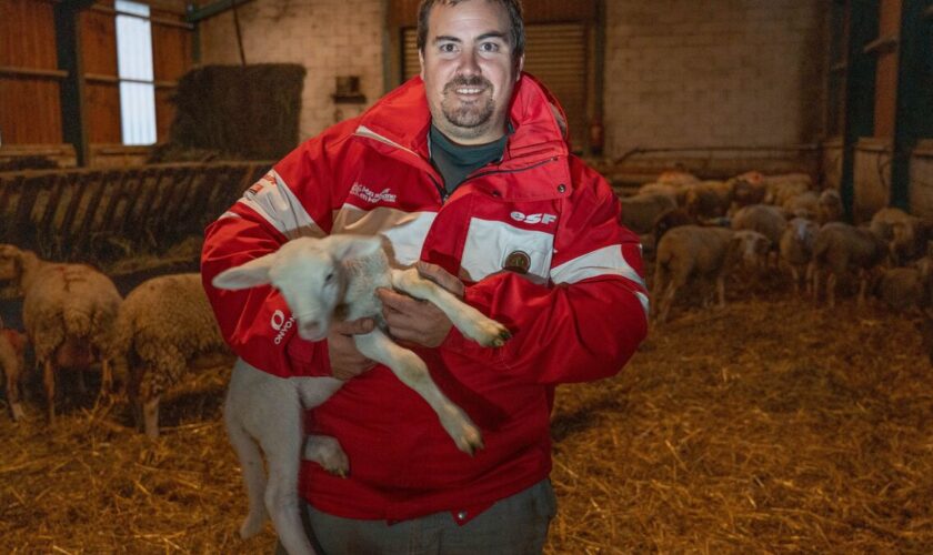 « Sans la station, on meurt » : en Isère, des agriculteurs victimes de la fin annoncée du ski