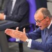 Schuldenbremse: Friedrich Merz sollte mutig sein und die Reform vor der Neuwahl unterstützen