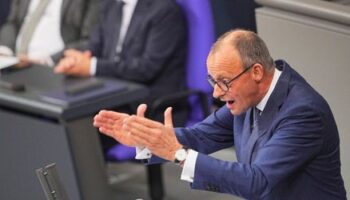 Schuldenbremse: Friedrich Merz sollte mutig sein und die Reform vor der Neuwahl unterstützen