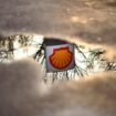 Shell wins appeal against order to cut emissions