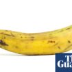 Shoppers can be made to feel sorry for single bananas, study finds