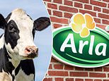 Shoppers threaten to boycott Tesco, Morrisons and Aldi over Arla Foods' controversial Bill Gates-inspired food additive 'Bovaer'