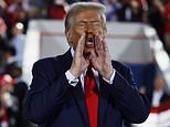 So how WILL Trump deport 20 million? It's the bold pledge that helped propel him back into the White House. Now our US Editor reveals his $1trillion 'shock and awe' blueprint...