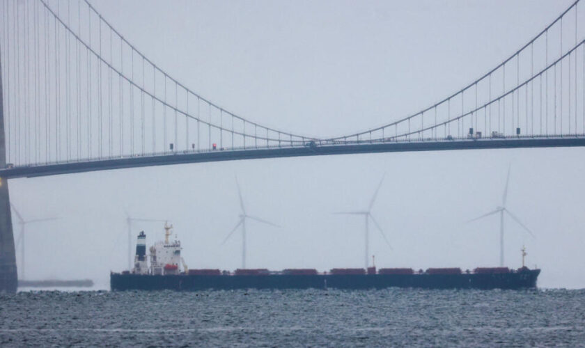 Soupçons de “guerre hybride” en mer Baltique :  la "très surprenante" piste du navire chinois