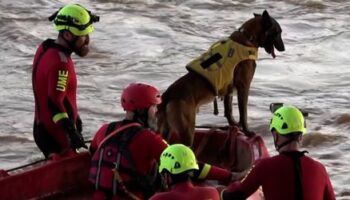 Spanien: Rettungskräfte suchen mit Spürhunden und Schlauchbooten nach vermissten Flutopfern