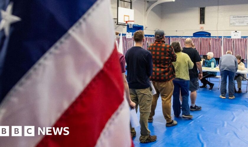 Stocks rise as investors await US presidential result