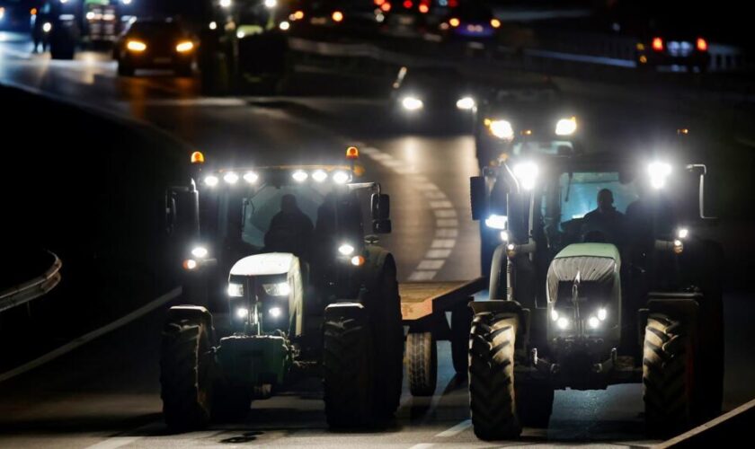 Sur fond de crispations autour du Mercosur, les agriculteurs mobilisés en France