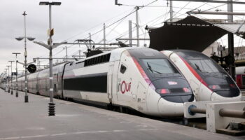 « Tout est envisageable » : le chantier du maintien des lignes TGV est ouvert