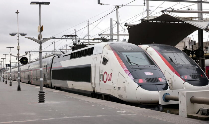 « Tout est envisageable » : le chantier du maintien des lignes TGV est ouvert