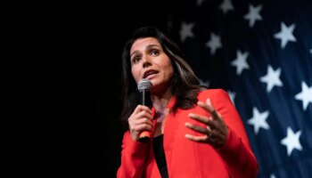 Tulsi Gabbard, que acusó a Ucrania y a EEUU de tener 30 laboratorios secretos para crear virus, dirigirá el espionaje estadounidense