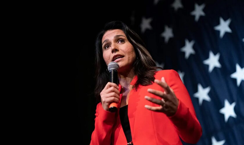 Tulsi Gabbard, que acusó a Ucrania y a EEUU de tener 30 laboratorios secretos para crear virus, dirigirá el espionaje estadounidense