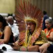 UN nature summit approves Indigenous consultative body