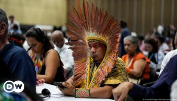 UN nature summit approves Indigenous consultative body