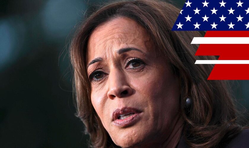 US-Wahl 2024: Harris räumt Niederlage ein: "Das ist nicht das, wofür wir gekämpft haben"