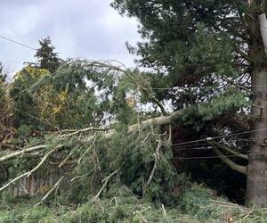 USA: Mindestens zwei Tote bei heftigem Sturm an der Westküste - Hunderttausende ohne Strom