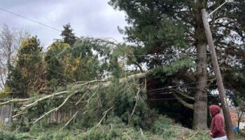 USA: Mindestens zwei Tote bei heftigem Sturm an der Westküste - Hunderttausende ohne Strom