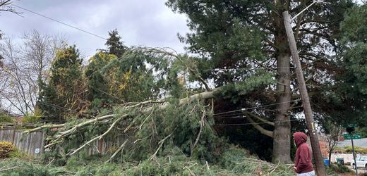 USA: Mindestens zwei Tote bei heftigem Sturm an der Westküste - Hunderttausende ohne Strom