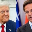 USA – Nato: Mark Rutte sprach mit Donald Trump über »globale Sicherheitsprobleme«