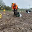 Val-d’Oise : malgré les aléas climatiques, la future forêt de Maubuisson s’enracine