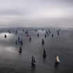 Vendée Globe : foule immense, Capitaine Crochet et larmes de marins... les plus belles images du départ