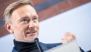 Verblüffende Ähnlichkeit: Lindner neckt Habeck für angebliches Plagiat von altem FDP-Spot