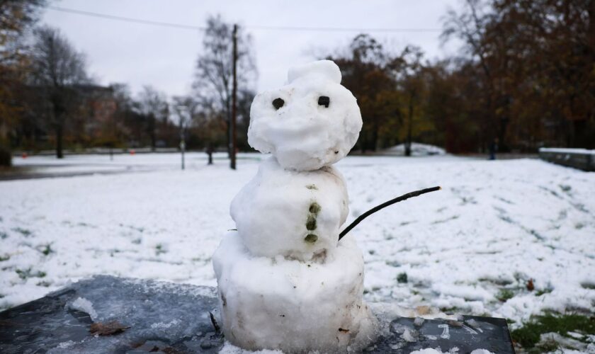 In Hamburg und Schleswig-Holstein ist in der Nacht der erste Schnee liegen geblieben. Foto: Christian Charisius/dpa