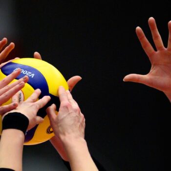 Die Dresdner Volleyballerinnen gewinnen gegen Potsdam und feiern den siebten Sieg im achten Spiel. Foto: Robert Michael/dpa-Zent