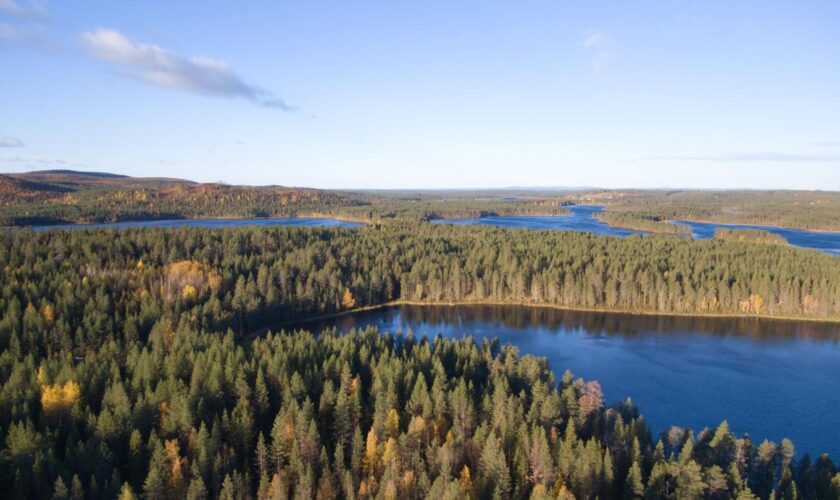 Waldbaden: Märchenwälder und Bergwelten: Die schönsten Wälder in Europa