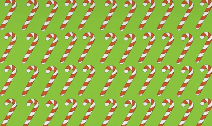 Weihnachtliches Suchbild: Augentest: Finden Sie die Zuckerstange, die aus der Reihe tanzt?